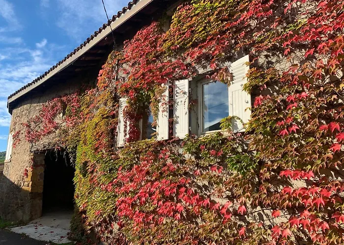 Casa vacanze Le De Buffetières Saint-Romain-de-Popey